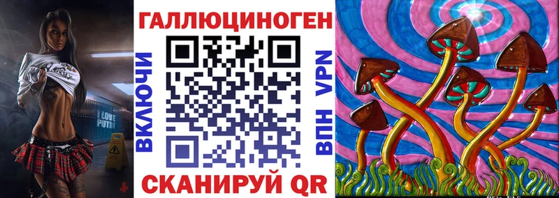 Галлюциногенные грибы Cubensis  Купить закладки  Новороссийск 